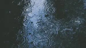 Gouttes de pluie tombant dans une flaque d'eau créant des cercles concentriques.