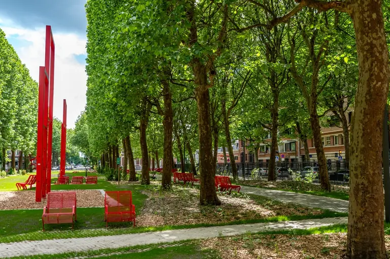 À Lille, une grande place devient plus verte cet été