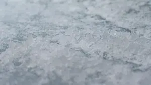 À Lyon, les sports de glace passent un cap olympique