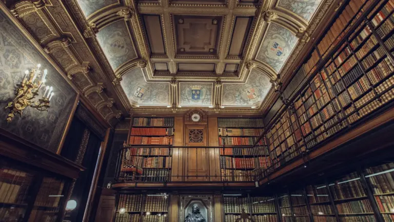 Vue intérieure majestueuse d'une bibliothèque patrimoniale française aux plafonds décorés.
