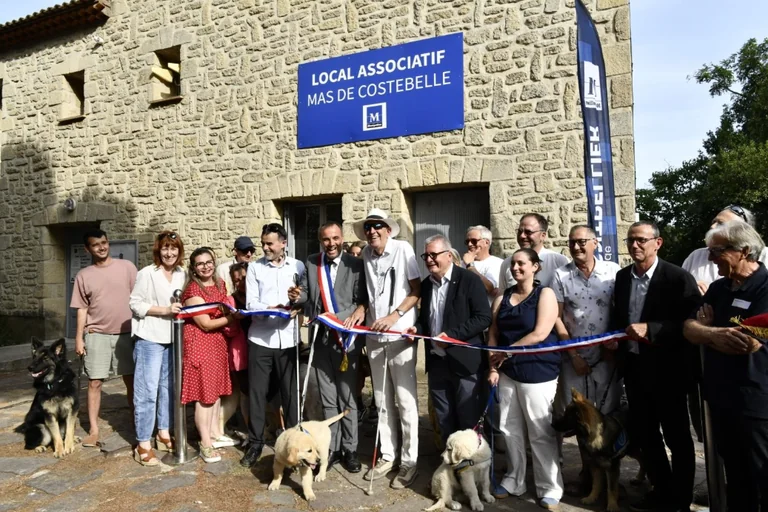À Montpellier, un chien guide plus près des malvoyants