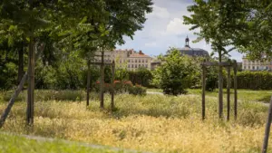 Vue arborée d'un jardin public bordelais sous un ciel ensoleillé.