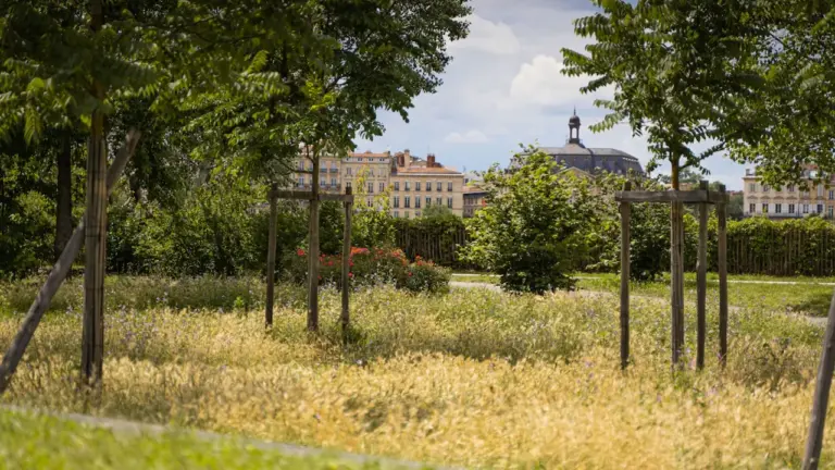 Vue arborée d'un jardin public bordelais sous un ciel ensoleillé.