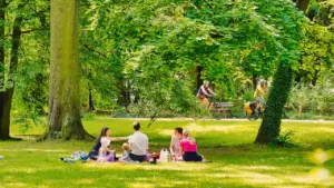 Une famille profite d'un pique-nique dans un parc verdoyant et ensoleillé en ville.