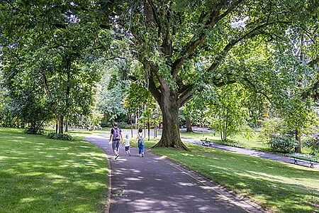 À Angers, les habitants ont leur mot à dire sur deux parcs: ce qu'il faut retenir