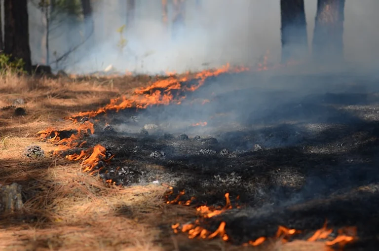 À Bergerac, l’odeur de brûlé impose ces précautions