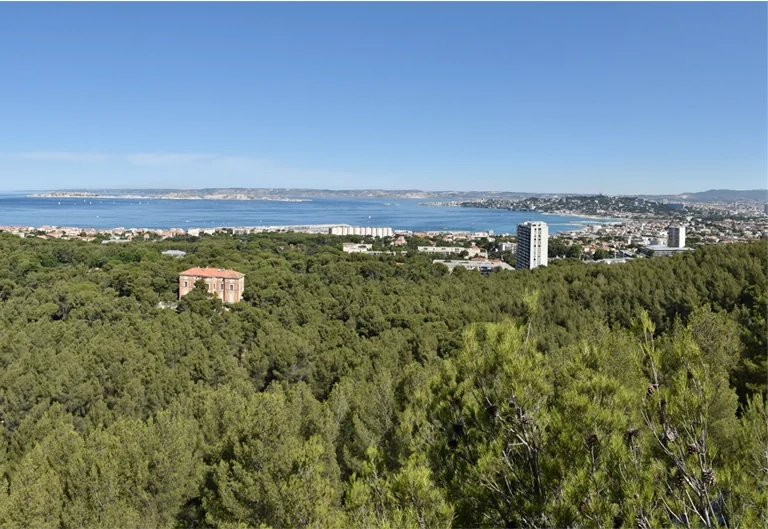À Marseille, les massifs ferment face au risque feu