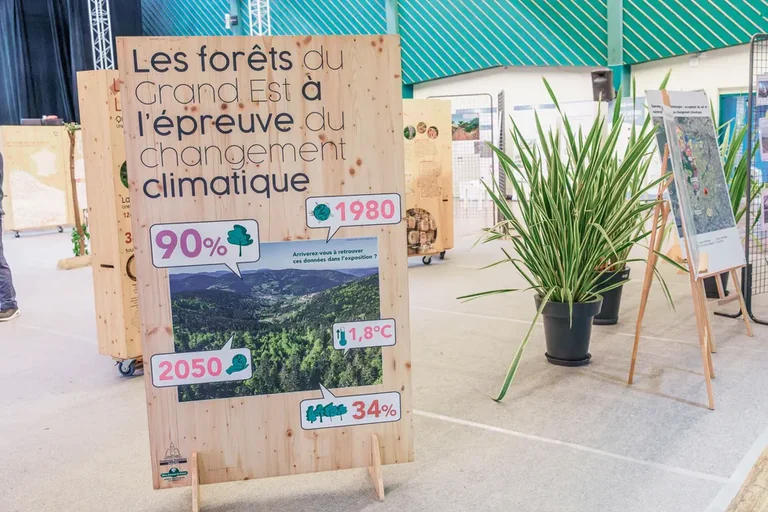 À Metz, les forêts du Grand Est face au climat dès le 28 juillet