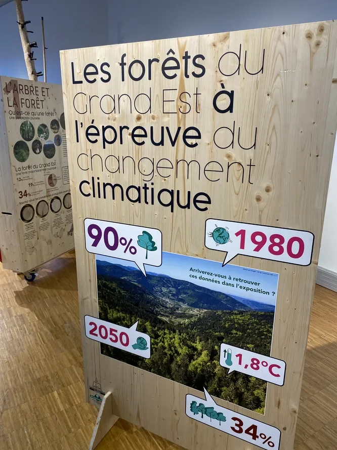 À Metz, les forêts du Grand Est face au climat dès le 28 juillet