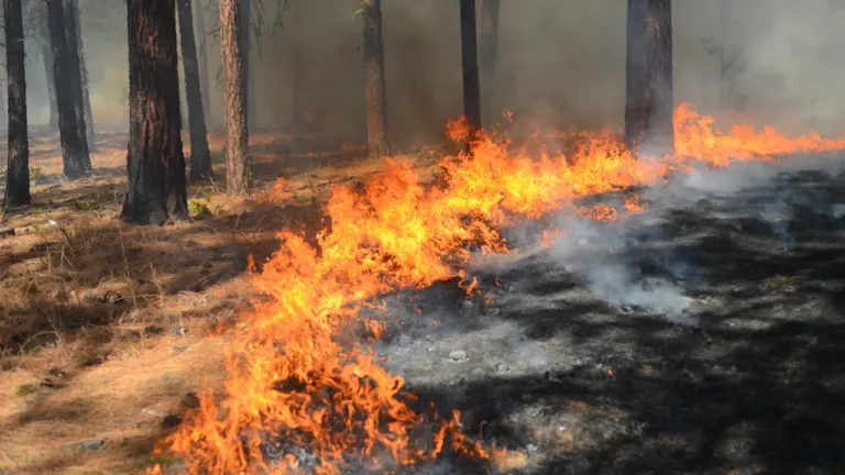 À Saint-Dizier, ces gestes comptent face au risque de feu