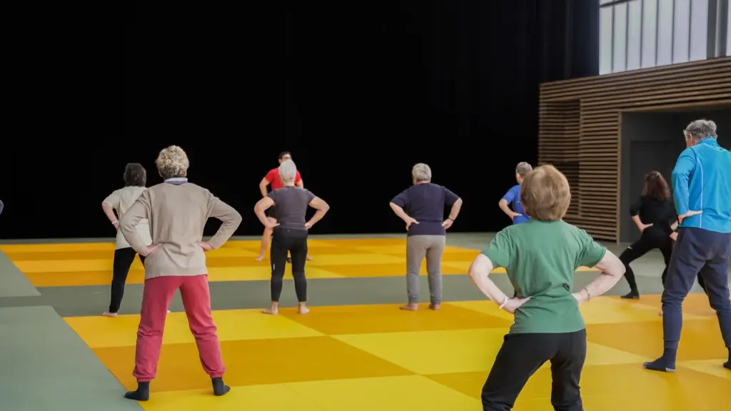 Un groupe de seniors effectue des exercices physiques sur un tatami bicolore jaune et vert.