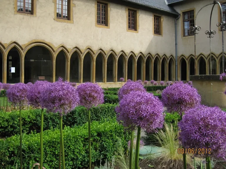 Metz : six idées de sorties du 31 juillet au 2 août