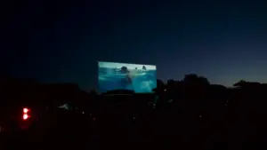 Partir en livre à Saint-Dizier : cinéma le 24 juillet