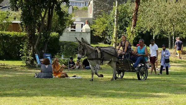 À Cherbourg, la Fête des ânes gratuite ce dimanche
