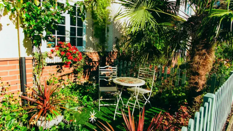 À Sevran, le moustique tigre gagne les jardins
