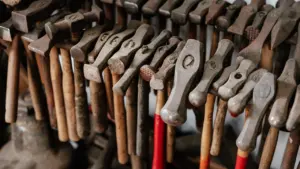 ARBOREACARLO à Bordeaux : atelier gratuit le 26 août