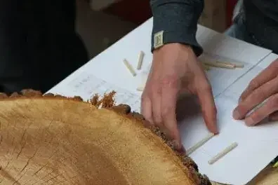 ARBOREACARLO à Bordeaux : atelier gratuit le 26 août