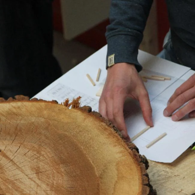 ARBOREACARLO à Bordeaux : atelier gratuit le 26 août