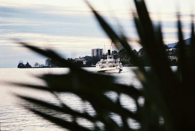 Balade sur la Loire à Orléans : infos pratiques pour votre sortie