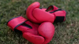 Boxe gratuite à La Roche-sur-Yon : rendez-vous le 21 août