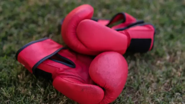 Boxe gratuite à La Roche-sur-Yon : rendez-vous le 21 août