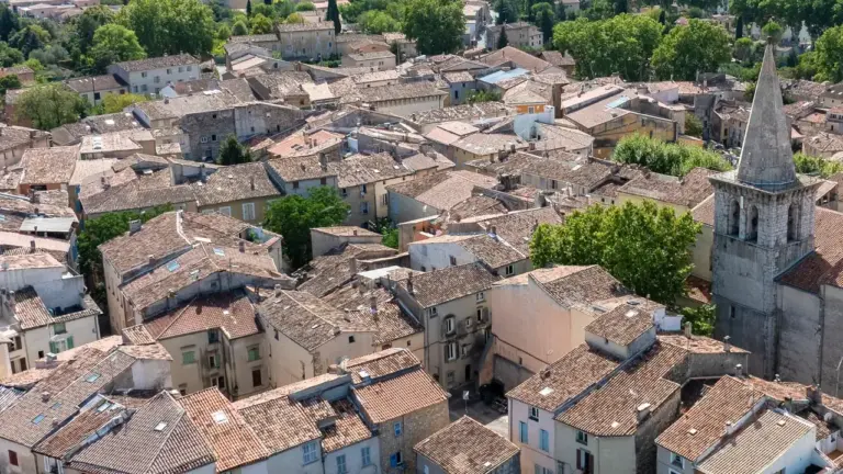 Brignoles : un concours gratuit départagera les tartes aux prunes