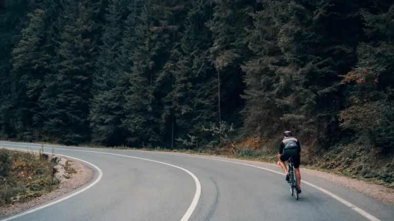 Un cycliste solitaire sur une route sinueuse bordée par une forêt dense et verdoyante.