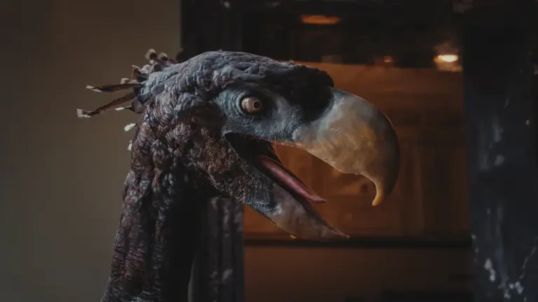 Dinosaures et oiseaux à Elbeuf : un voyage gratuit de 150 millions d’années jusqu’en mars 2027
