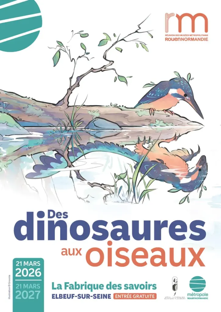 Dinosaures et oiseaux à Elbeuf : un voyage gratuit de 150 millions d’années jusqu’en mars 2027