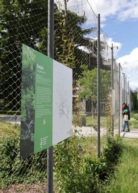 Ex(s)istere à Saint-Étienne : 14 espèces en accès libre