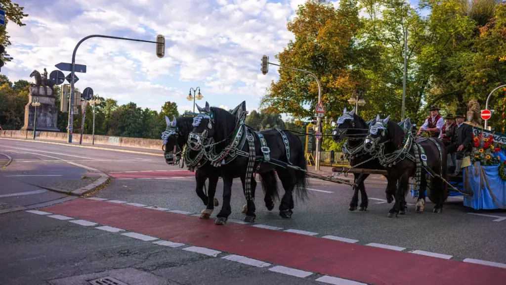 Chevaux de trait décorés tirant une calèche dans une rue urbaine européenne.