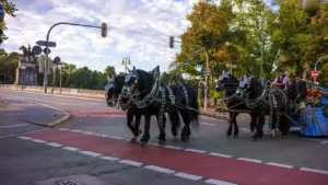 Festival d’Aurillac : vos trajets du 19 au 22 août