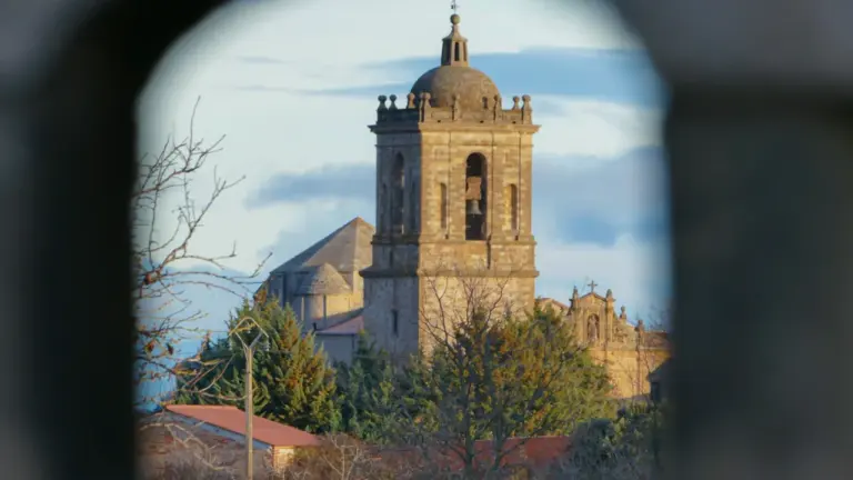 Vue encadrée d'un clocher de cathédrale en pierre sous un ciel bleu.