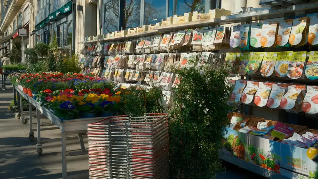 Étalage urbain de plantes et fleurs devant une boutique de quartier en France