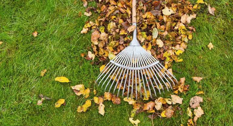 Vaulx-en-Velin : 105 € à gagner pour les 16-25 ans pendant les vacances