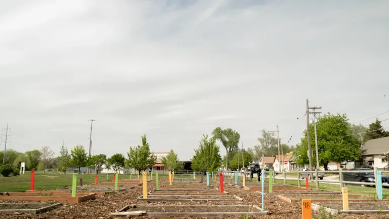 À Lyon, 130 places ouvertes pour les jeunes du jardin des Chartreux