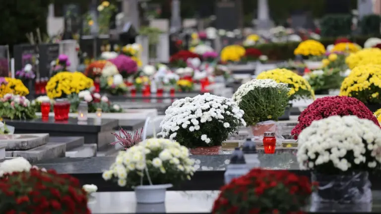 Saint-Chamond : les fleuristes ont jusqu’au 15 octobre pour réserver leur place