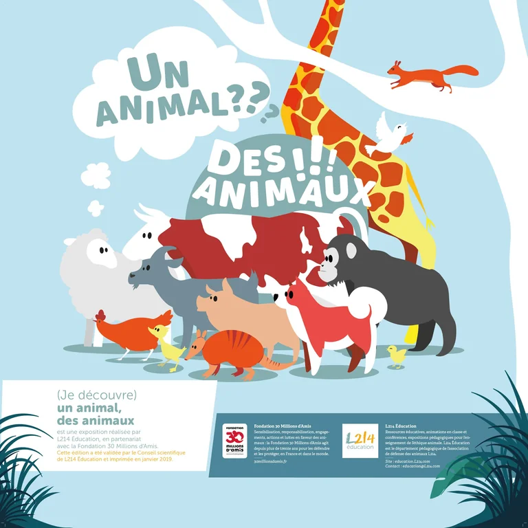 Vaulx-en-Velin : un mois pour changer de regard sur les animaux